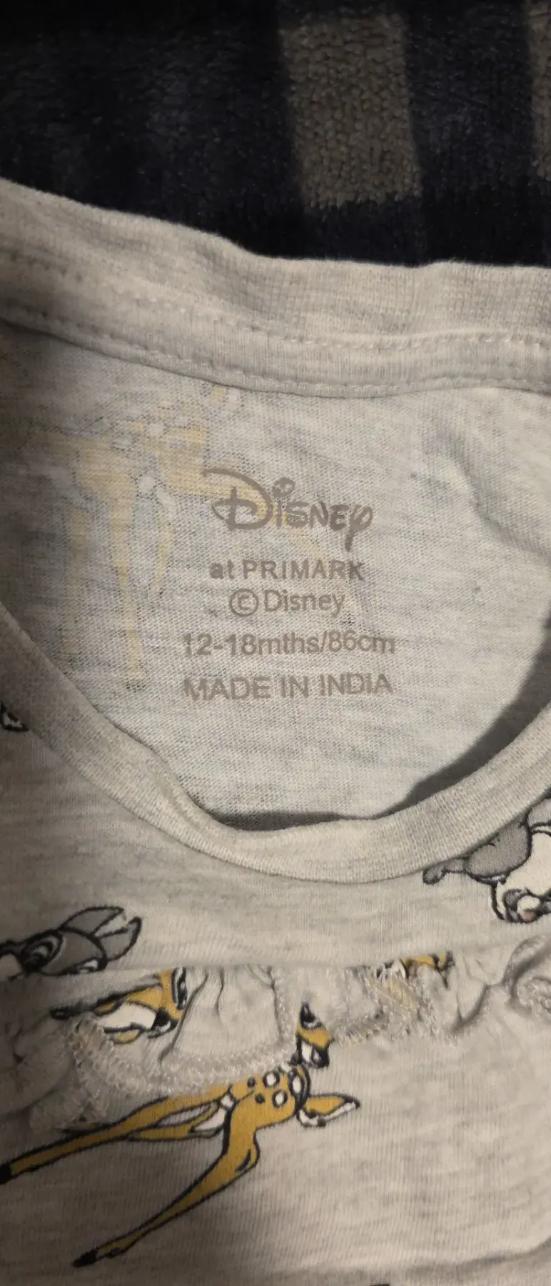 Disney T- Shirt
