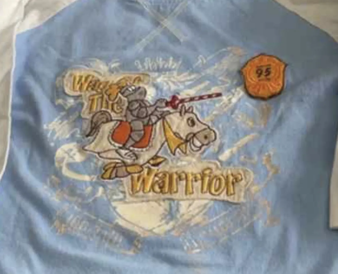 Langarmshirt in Gr. 86/92