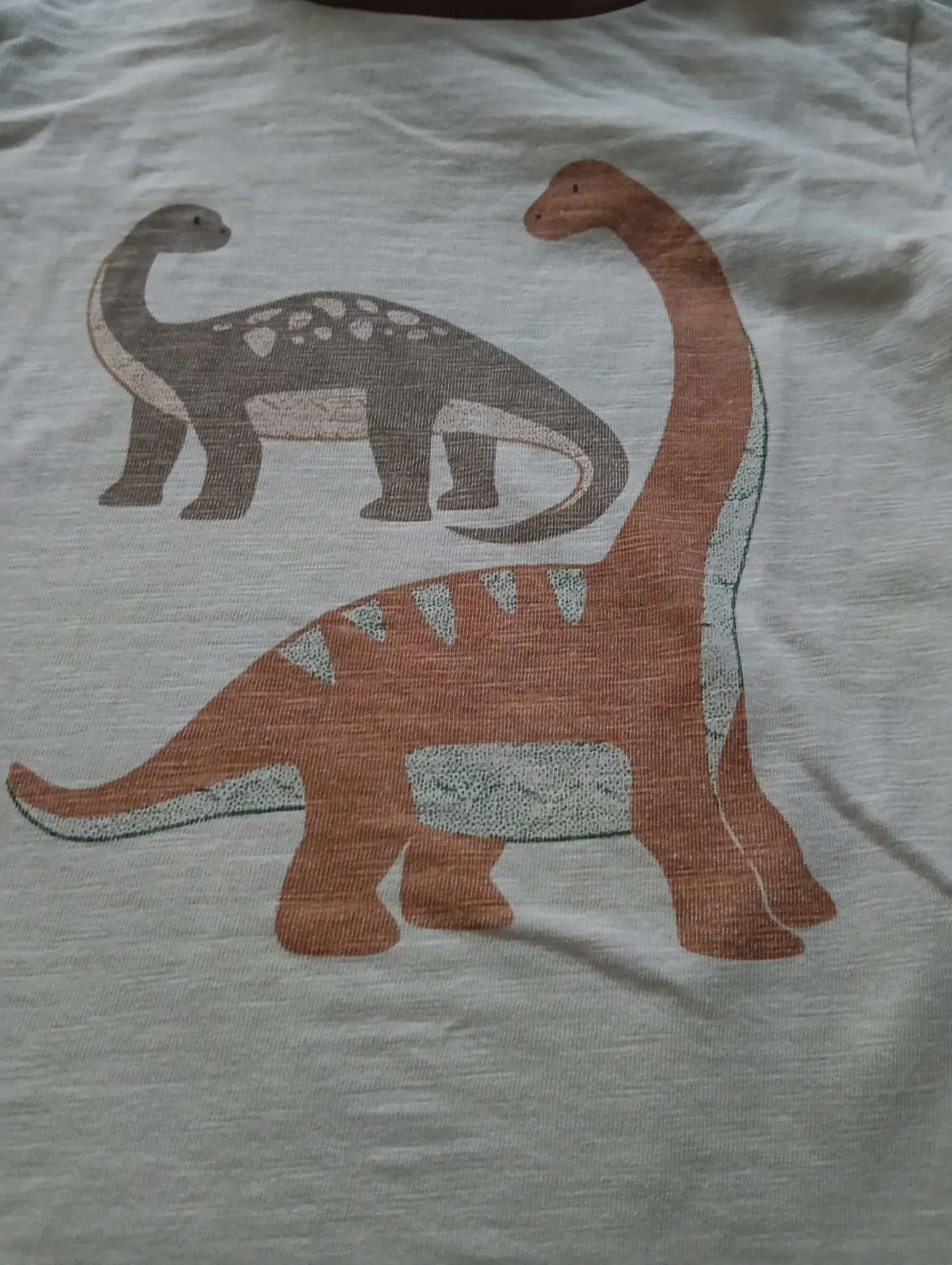 Langarmshirt (Alana)