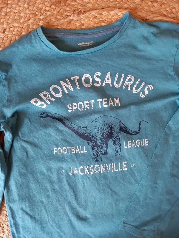 Vertbaudet Shirt Gr 140/146/152 Junge, Langarm, Longsleeve, Dinosaurier,türkis
