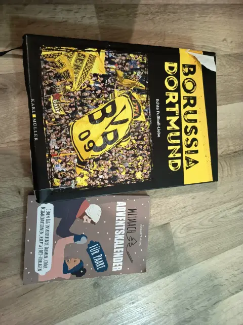 BVB Buch ( zwei Bücher )