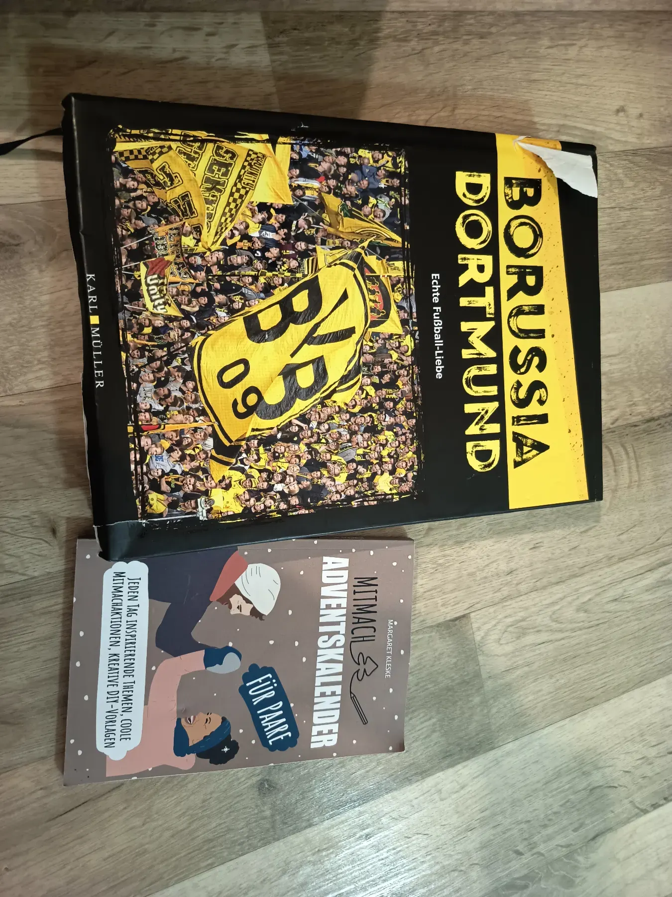 BVB Buch ( zwei Bücher )