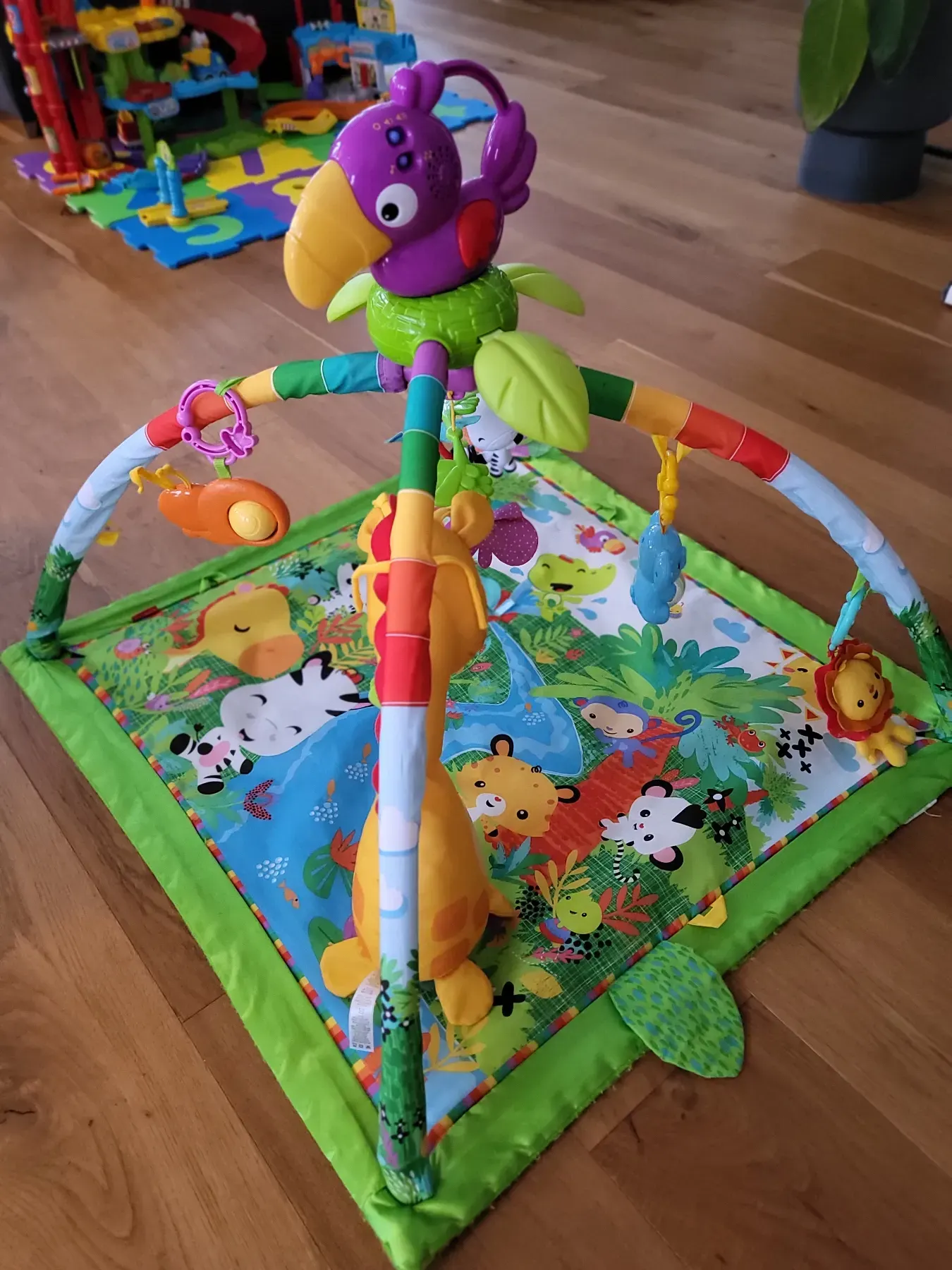 Babydschungel mit Sound