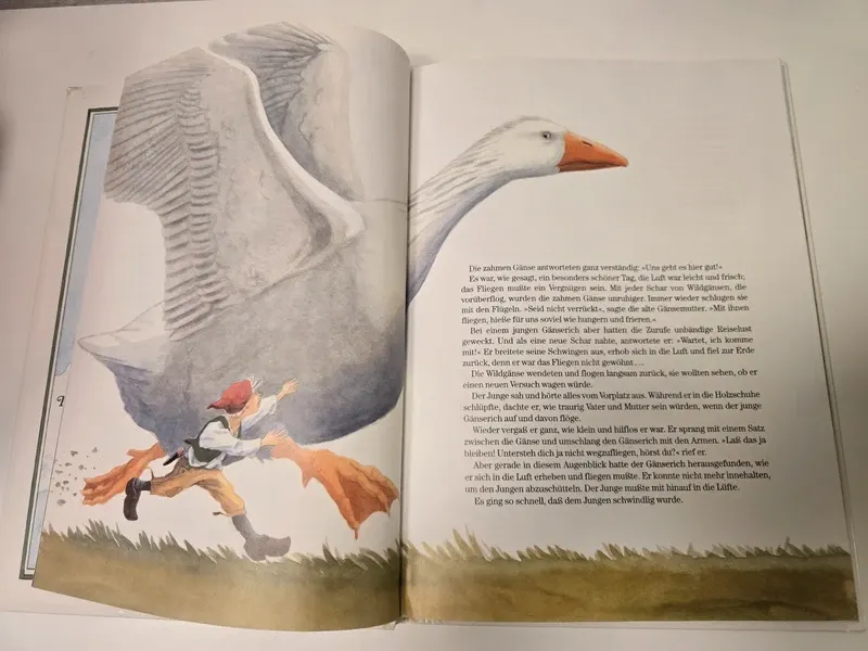 Buch - Nils Holgerssons Wunderbare Reise
