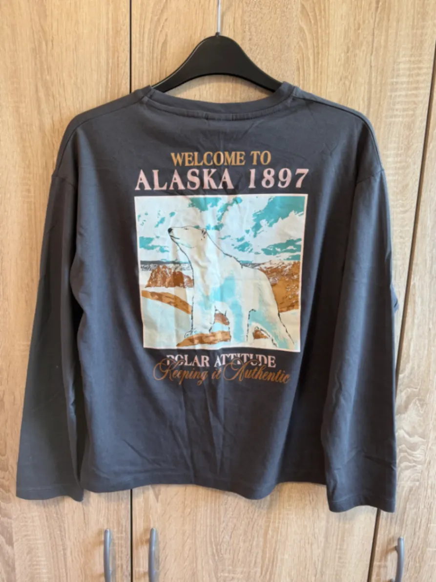 Zara Langarmshirt von Zara in Grau