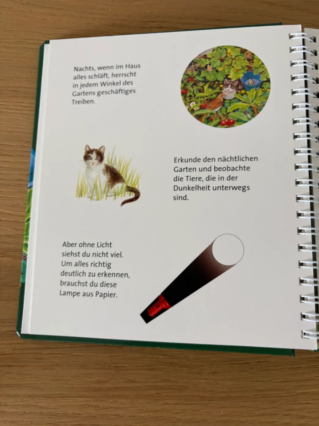 💡 Licht an! 💡 Nachts im Garten - Sauerländer Verlag