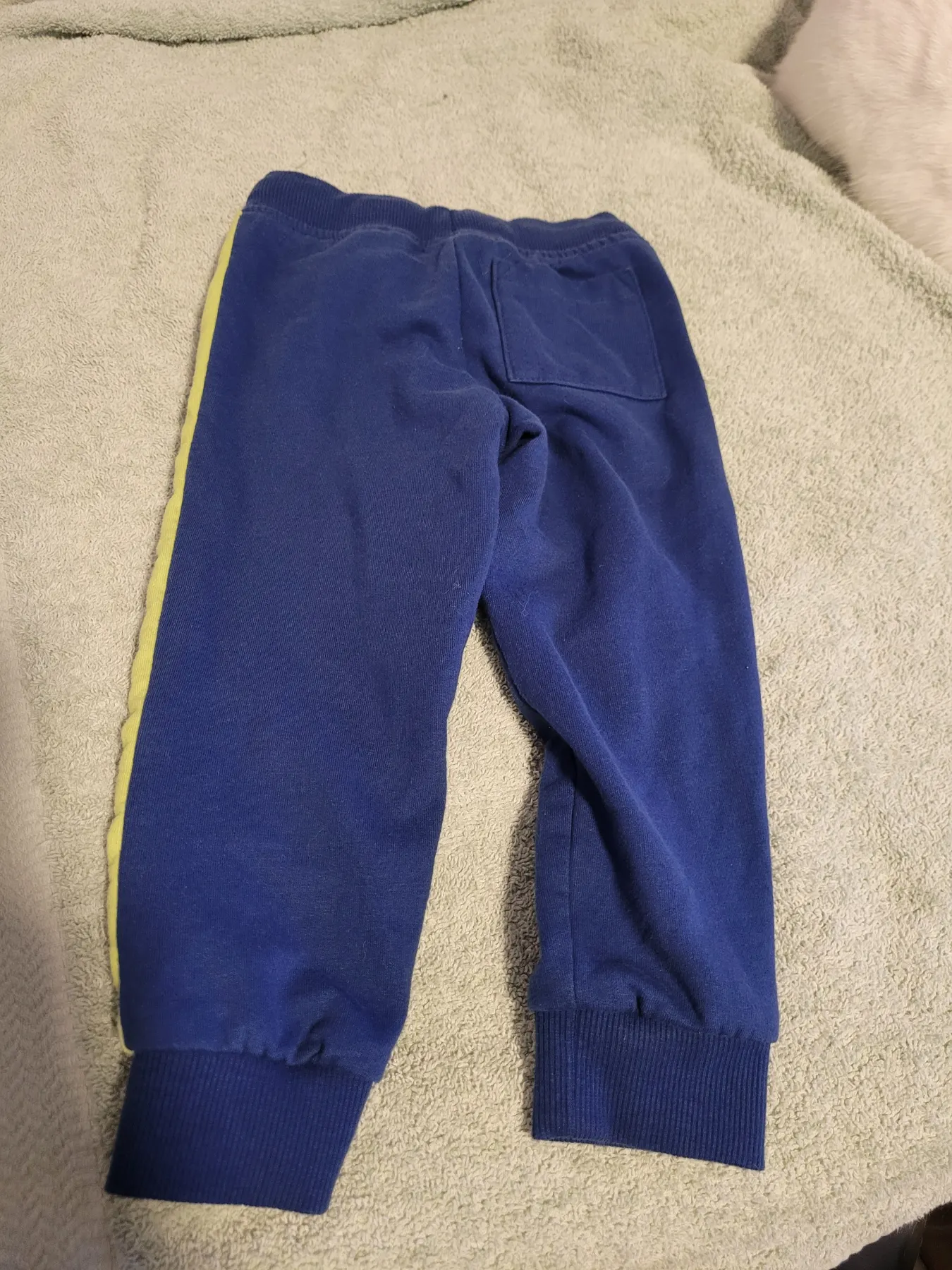 Pocopiano sporthose