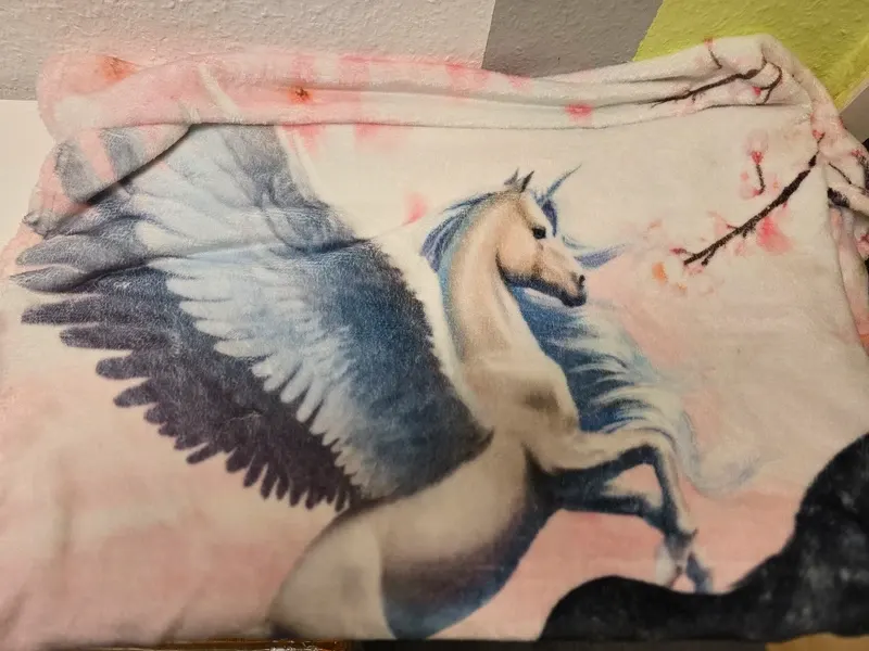 Kuscheldecke Einhörner