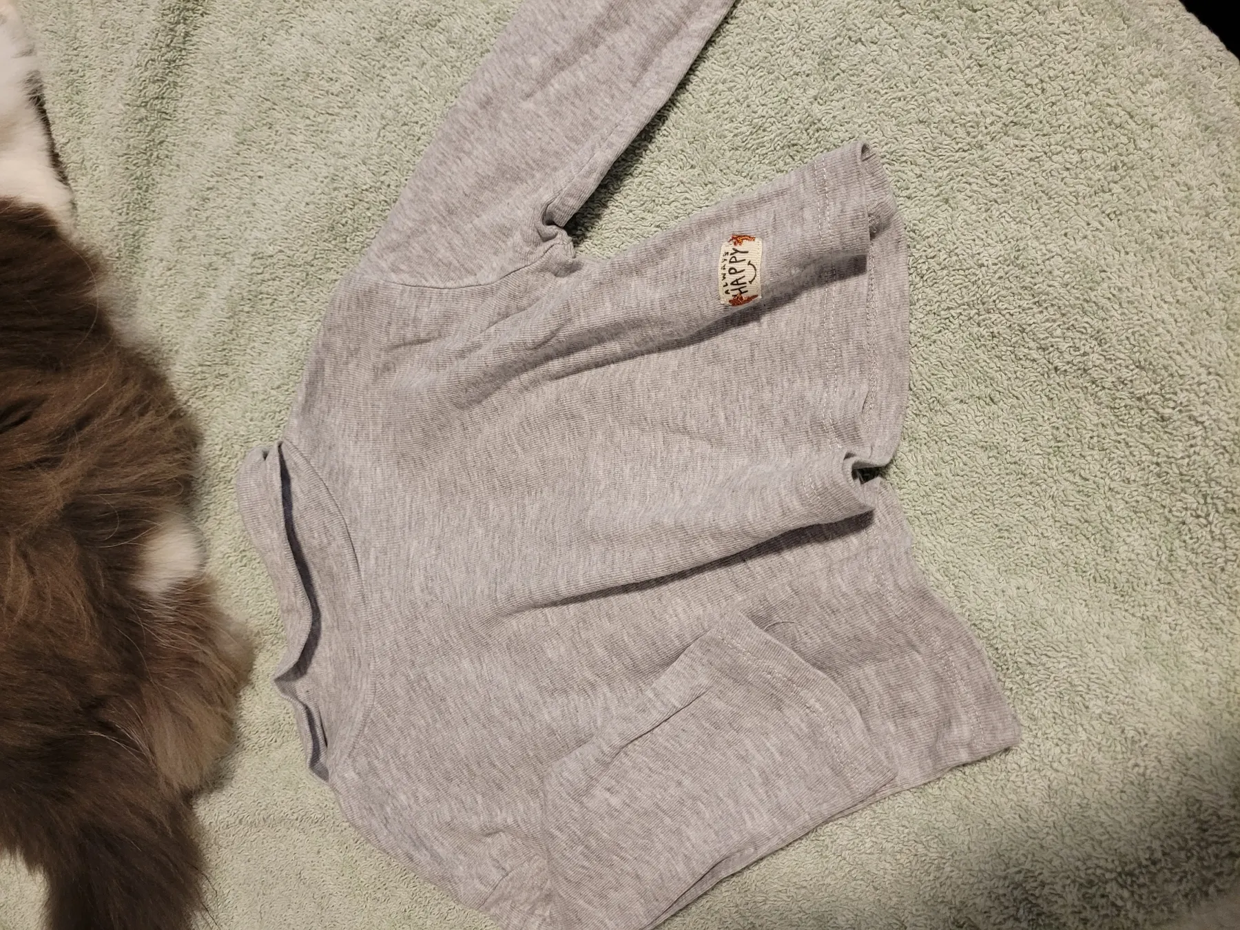 Zara Basic Shirt