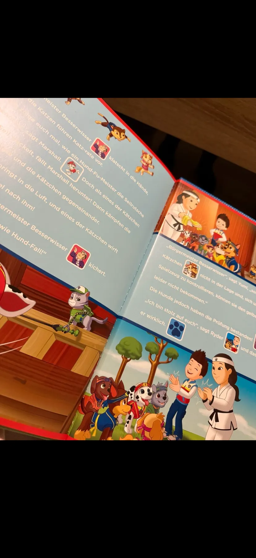 Paw Patrol Soundbuch
