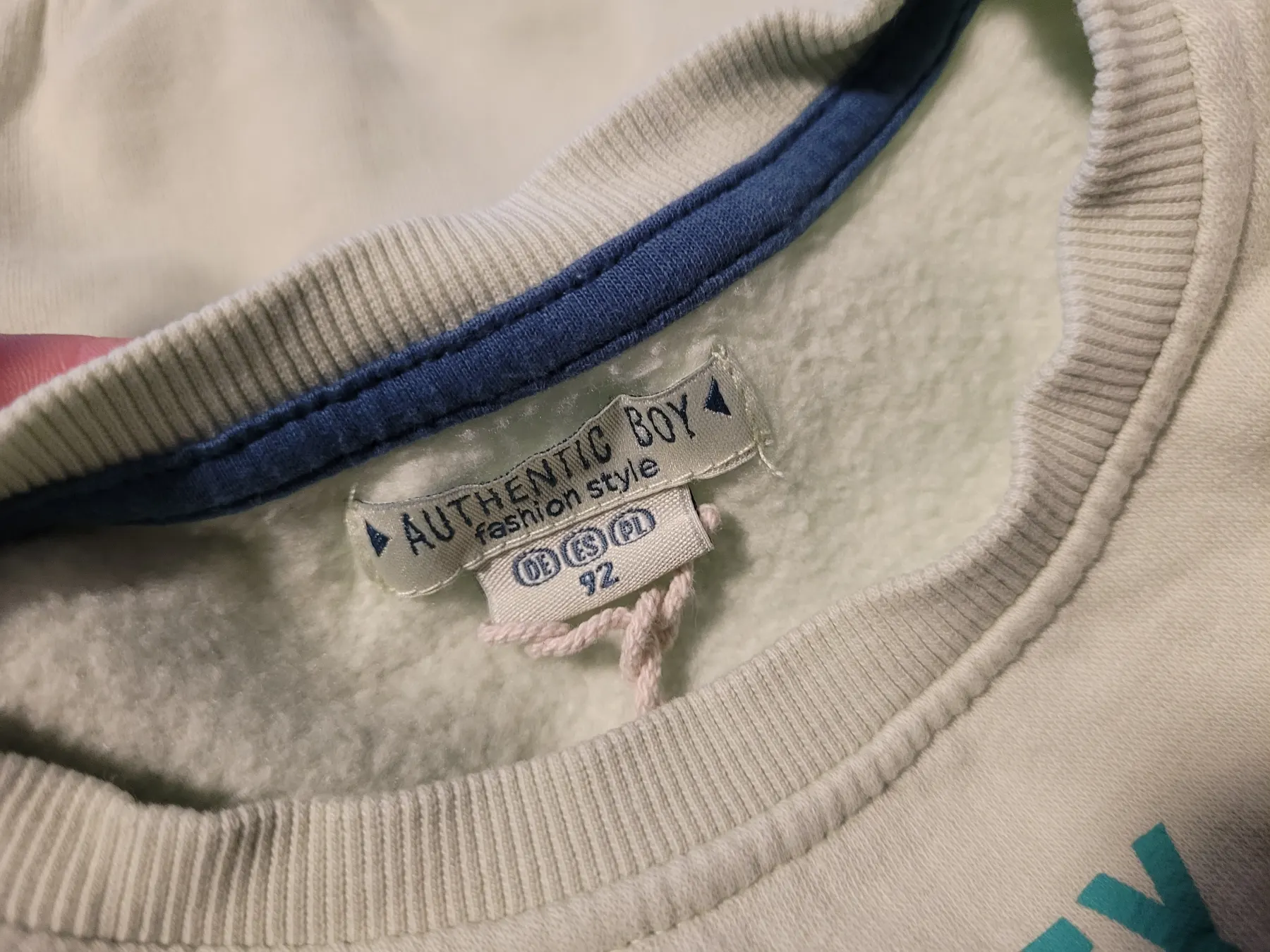 Authentic Boy T-Rex Pullover
