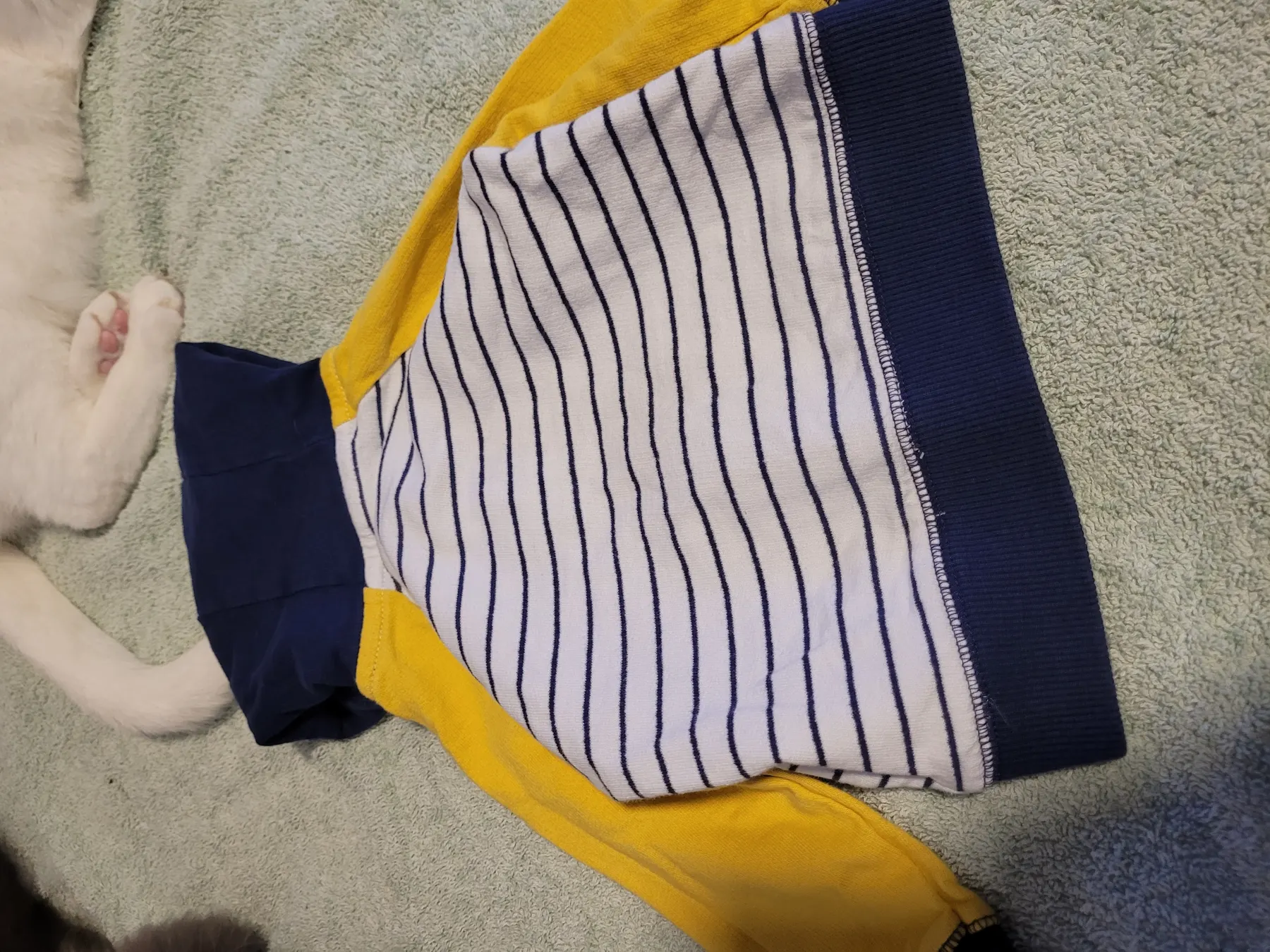 Carter's Sweatshirtjacke