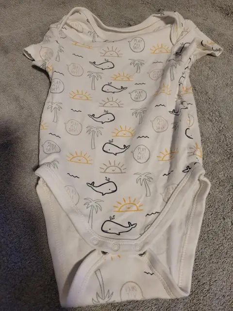 C&A body