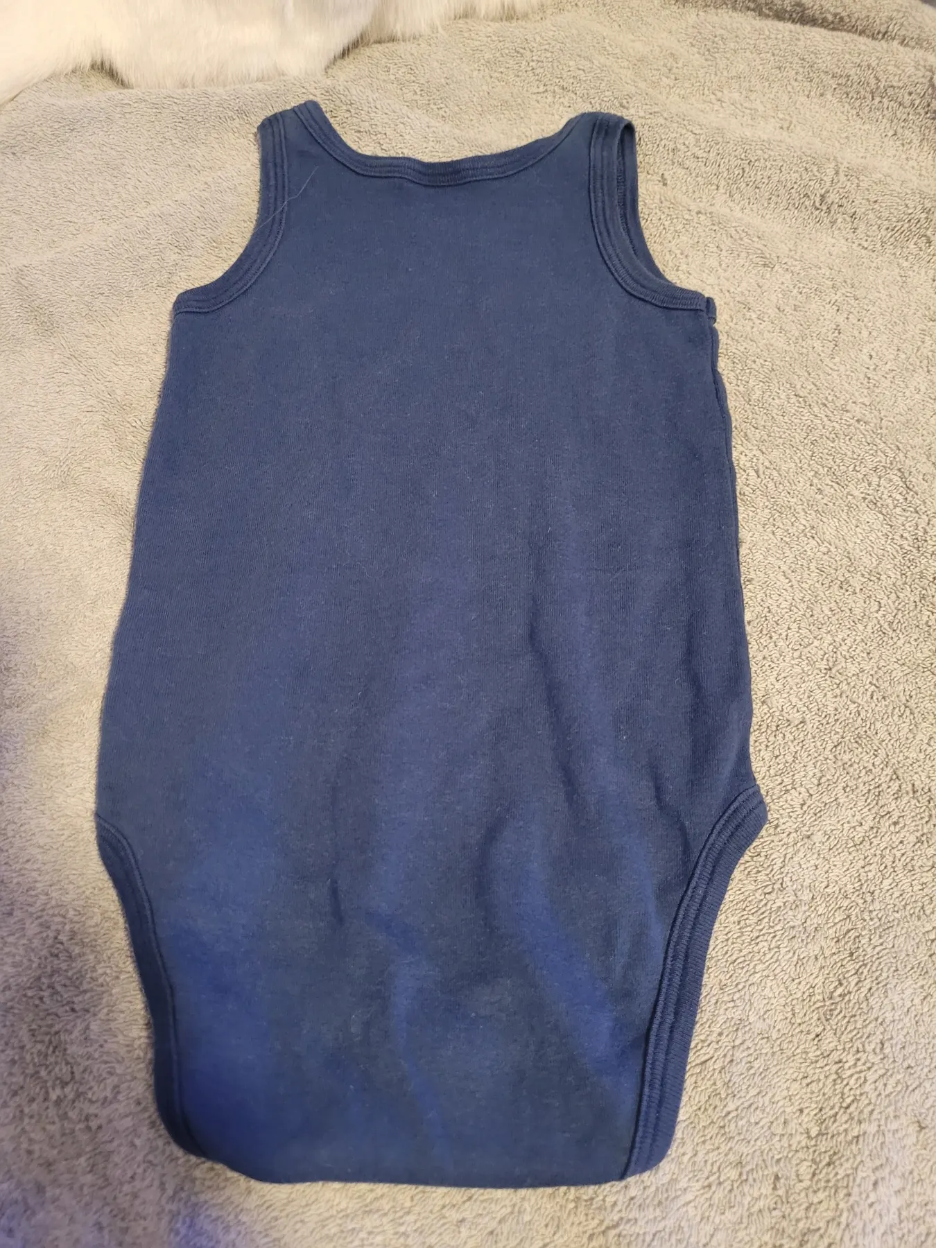Schiesser body
