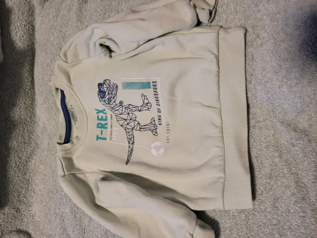 Authentic Boy T-Rex Pullover