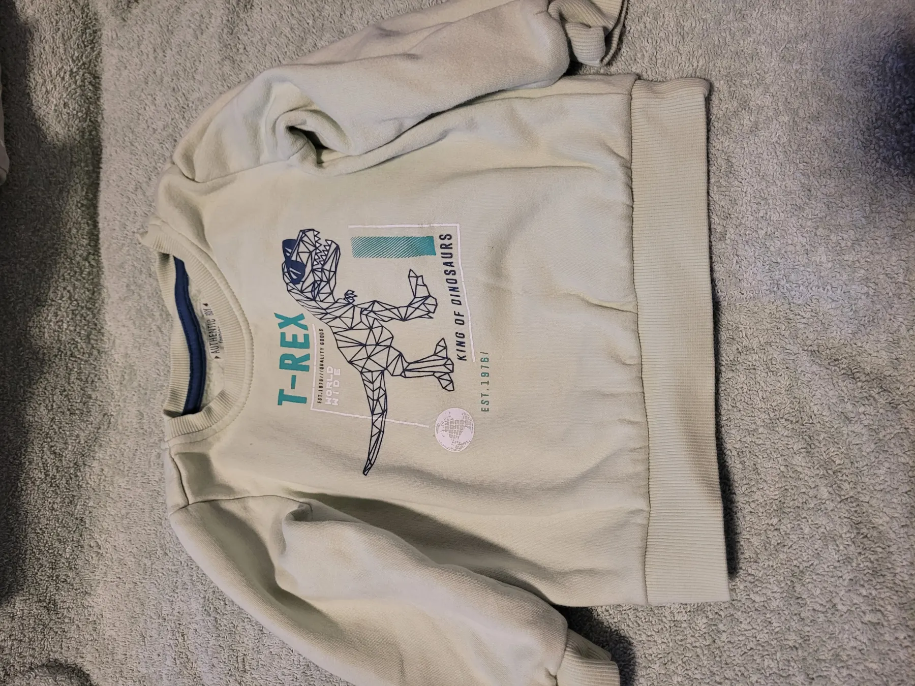 Authentic Boy T-Rex Pullover