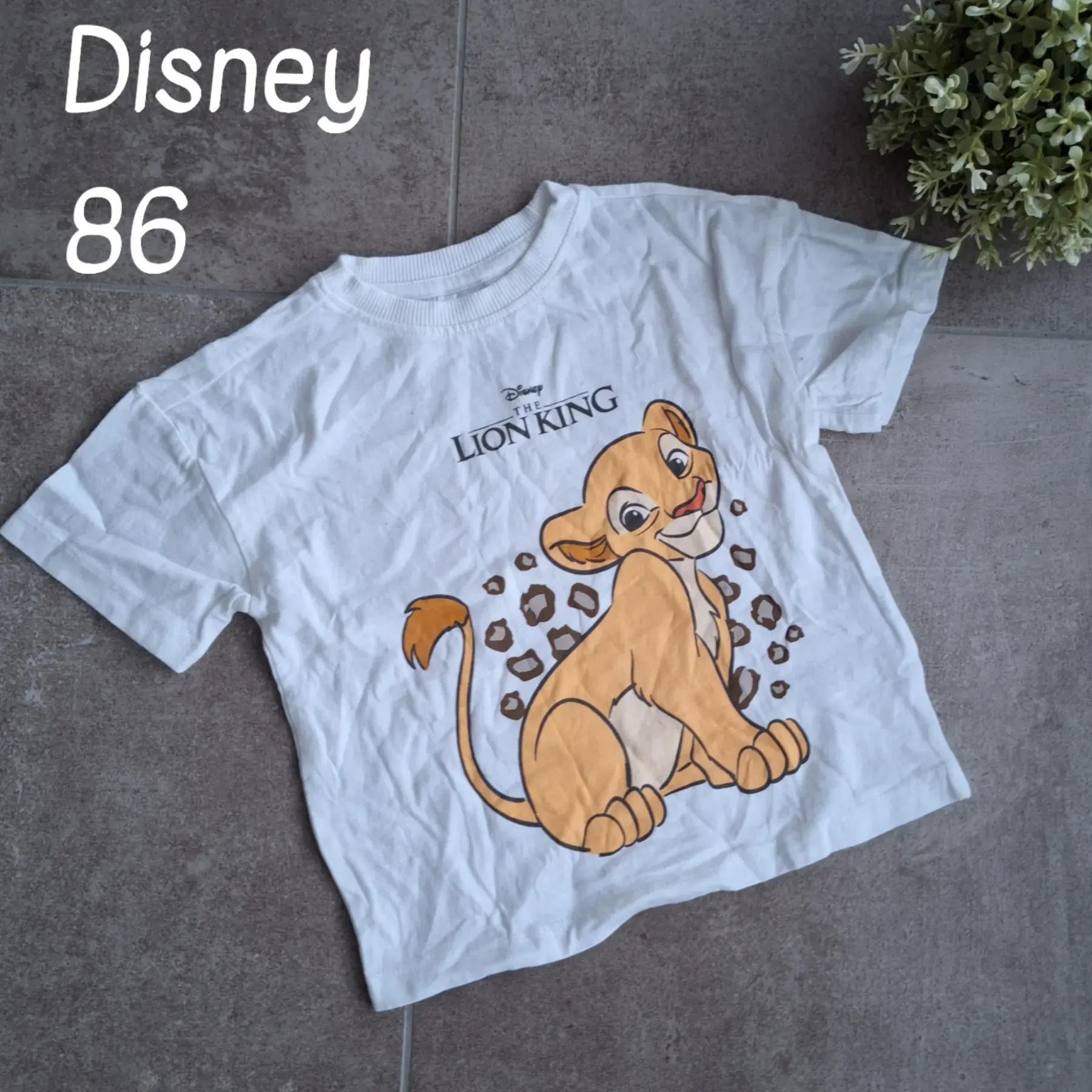 12x Shirts Junge 86