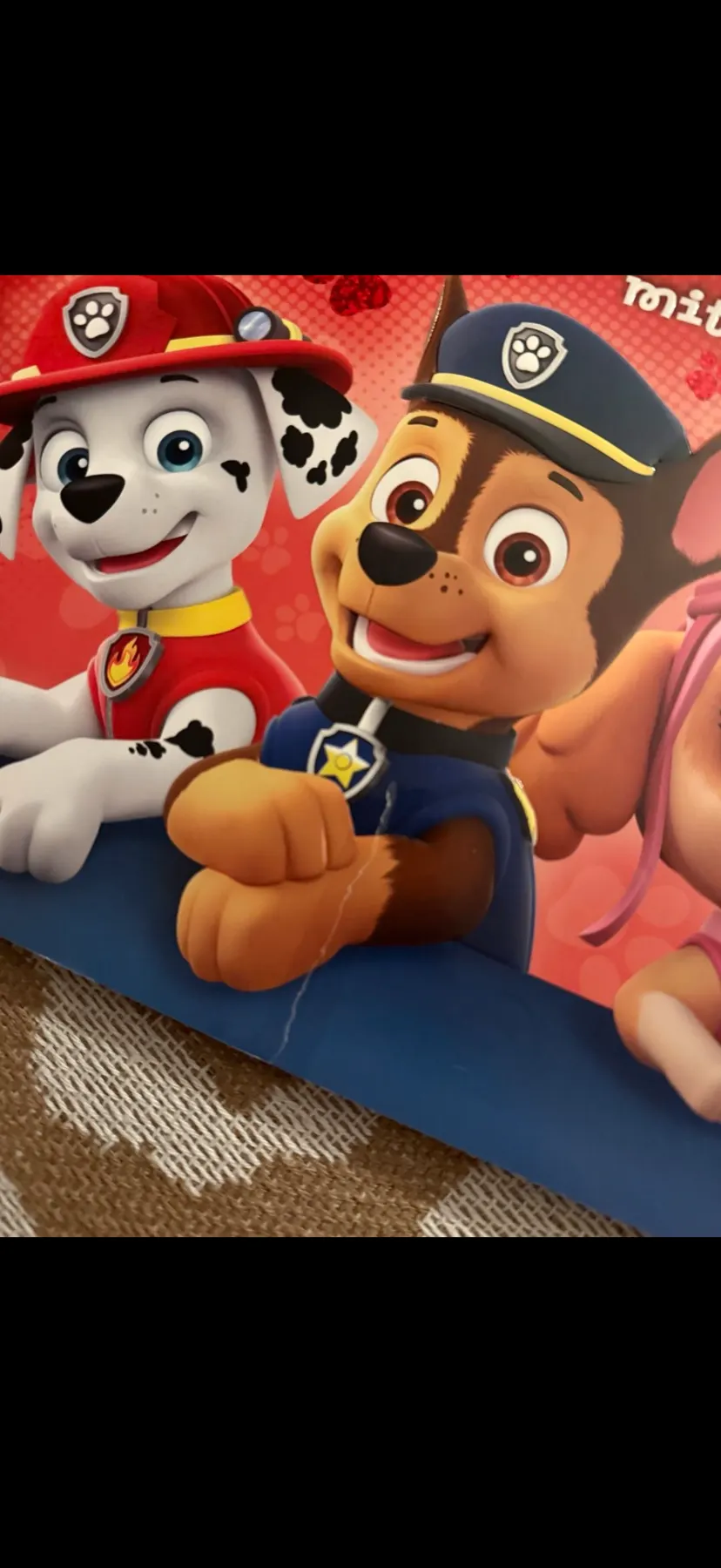 Paw Patrol - Bücher Set