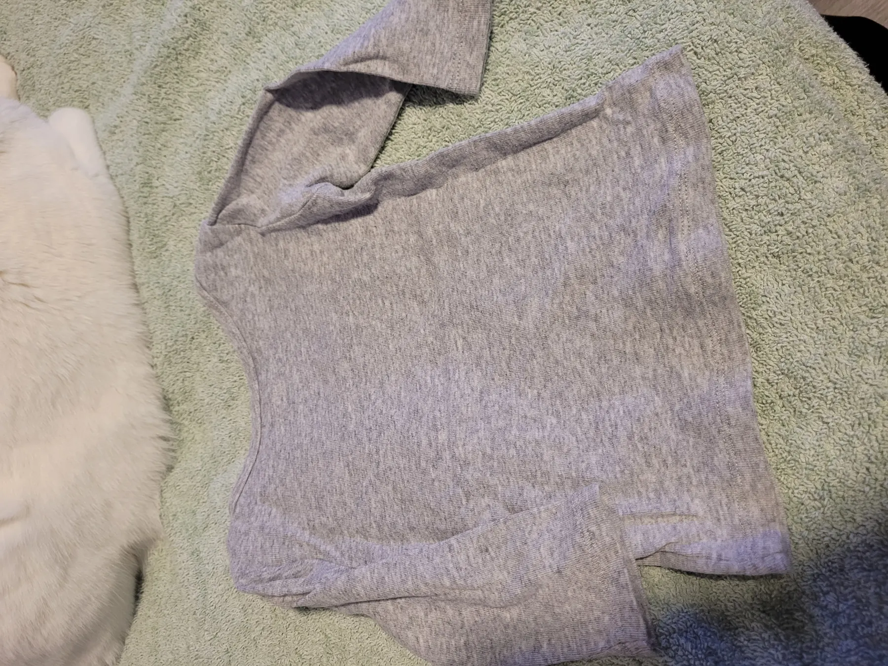 Basic Shirt