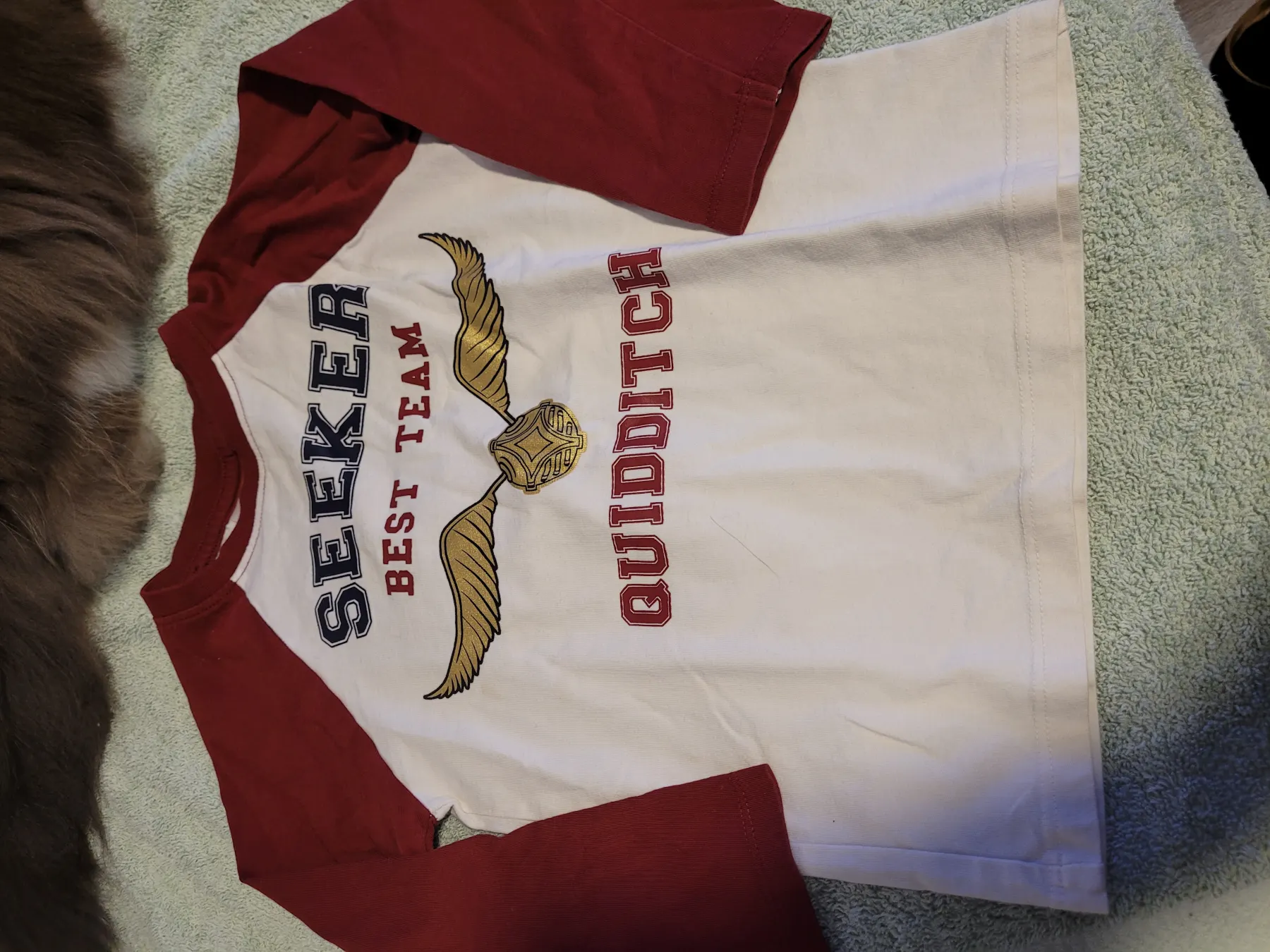 Harry Potter Shirt