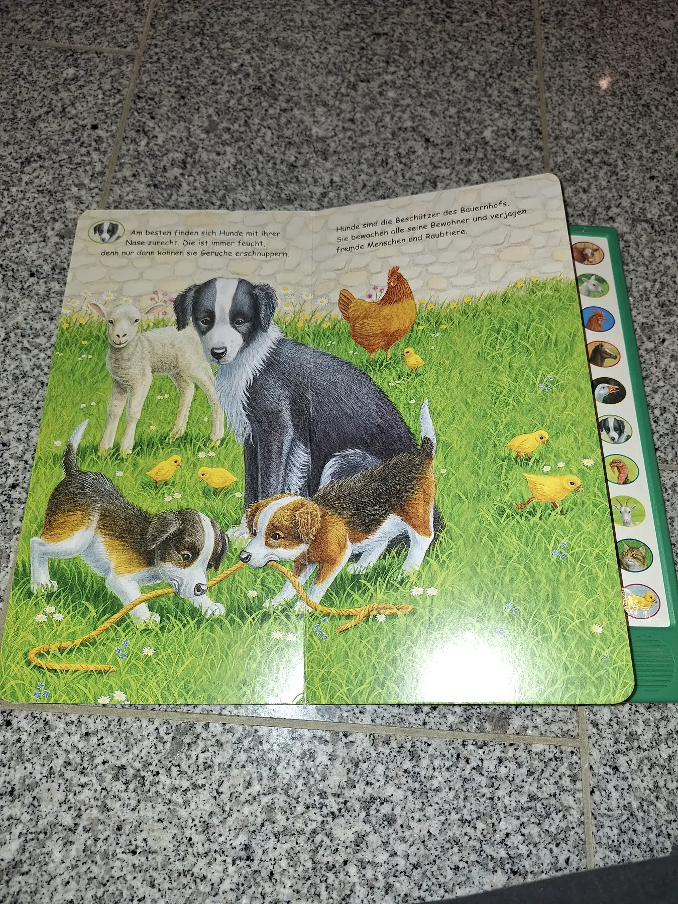 Wimmelbuch und Soundbuch einzeln möglich