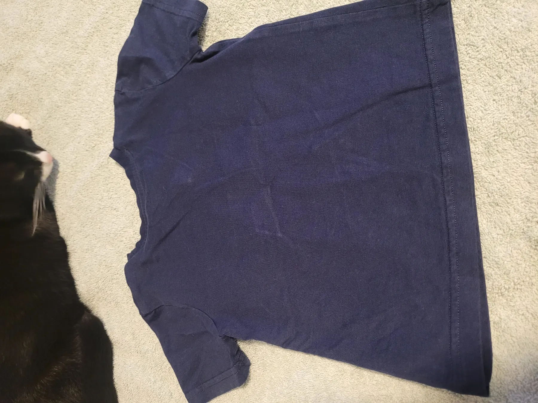 C&A T-shirt 'Meer'