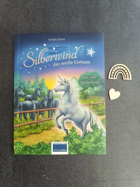 Buch Silberwind