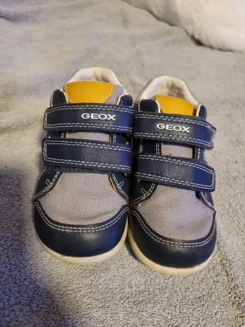 Geox Sneaker