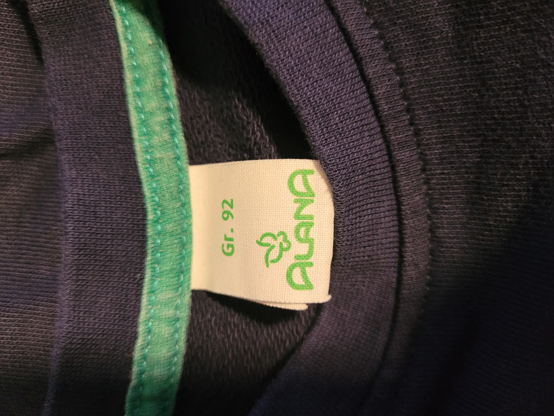 Alana Pullover Dino