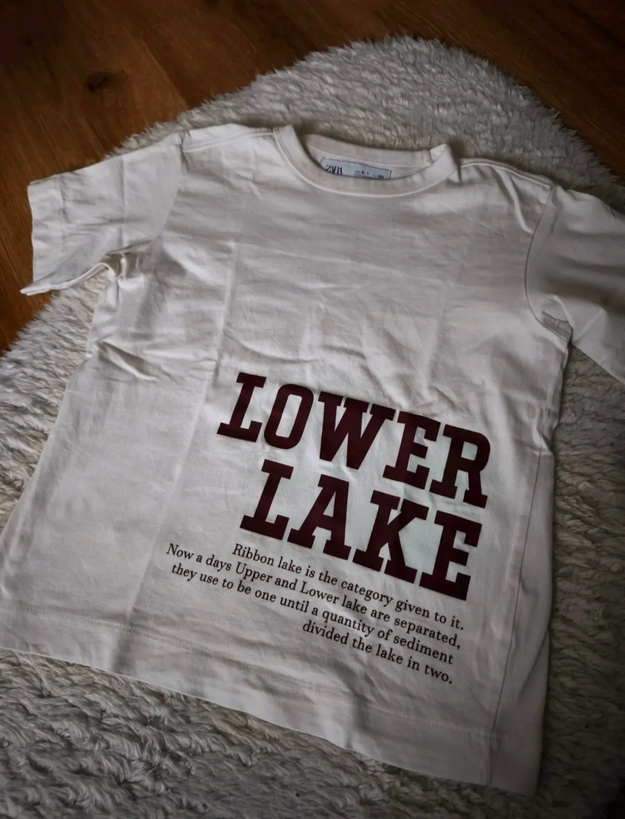 Zara T-Shirt Gr. 120cm