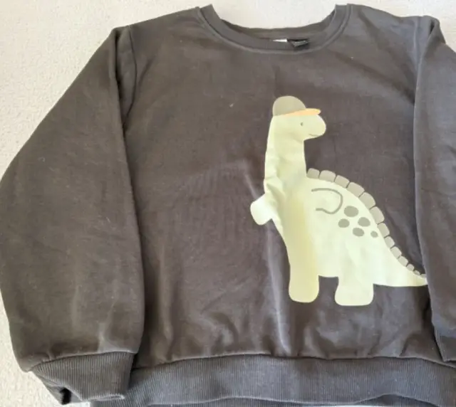 Dino Pullover