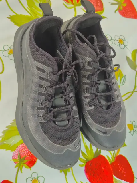 Nike Air Max Gr. 33