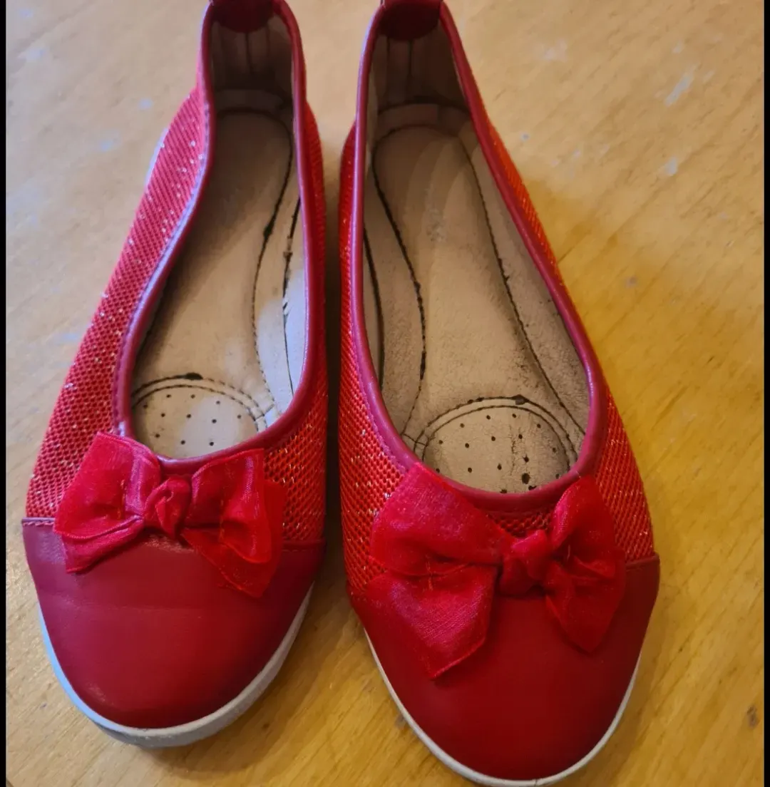 Polaris ballerinas