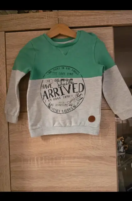 Schönes Jungen Sweatshirt Größe 86