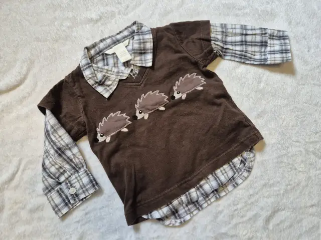 Langarmshirt "Igel", Jungen, H&M, Größe 74