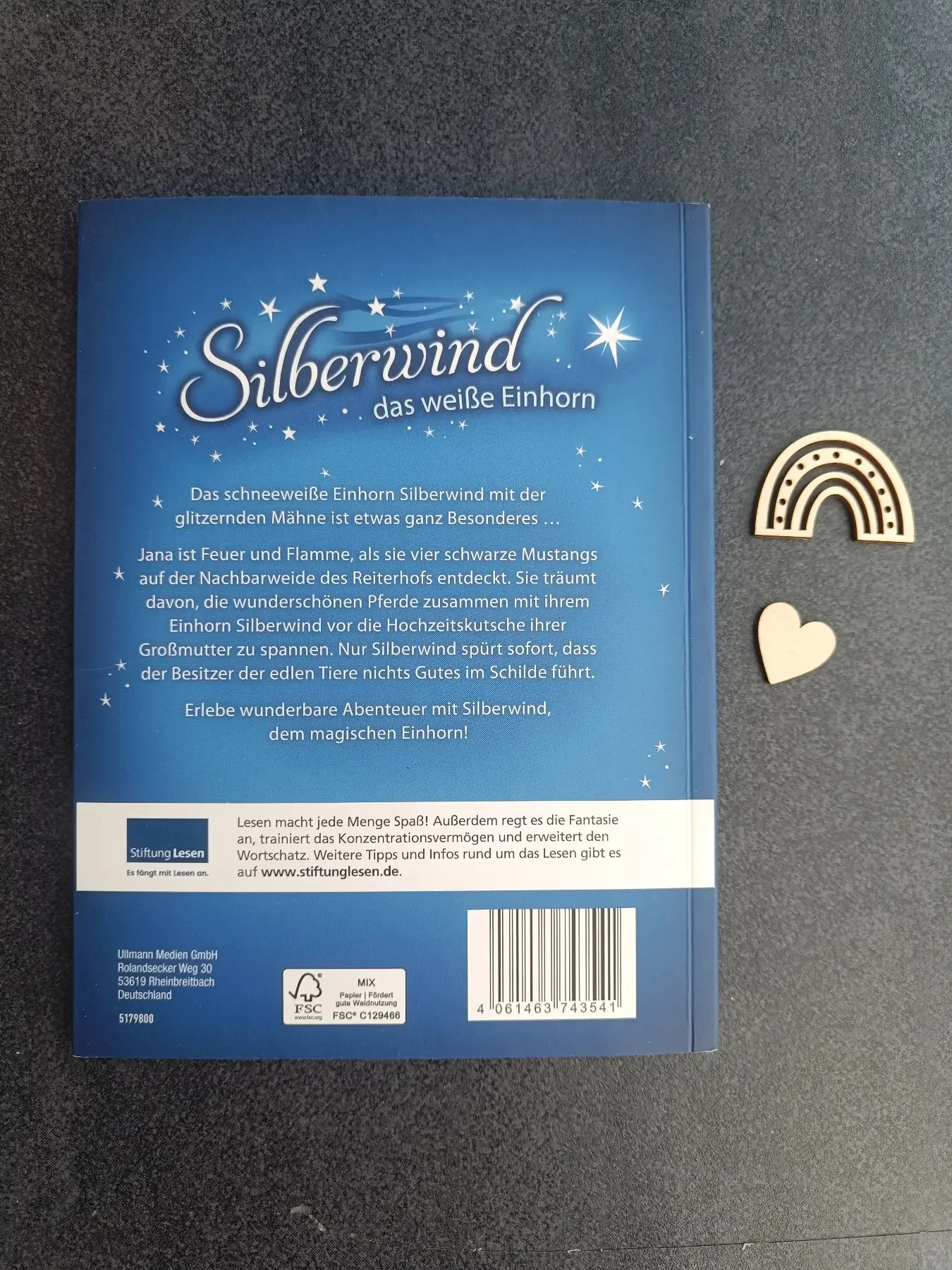Buch Silberwind