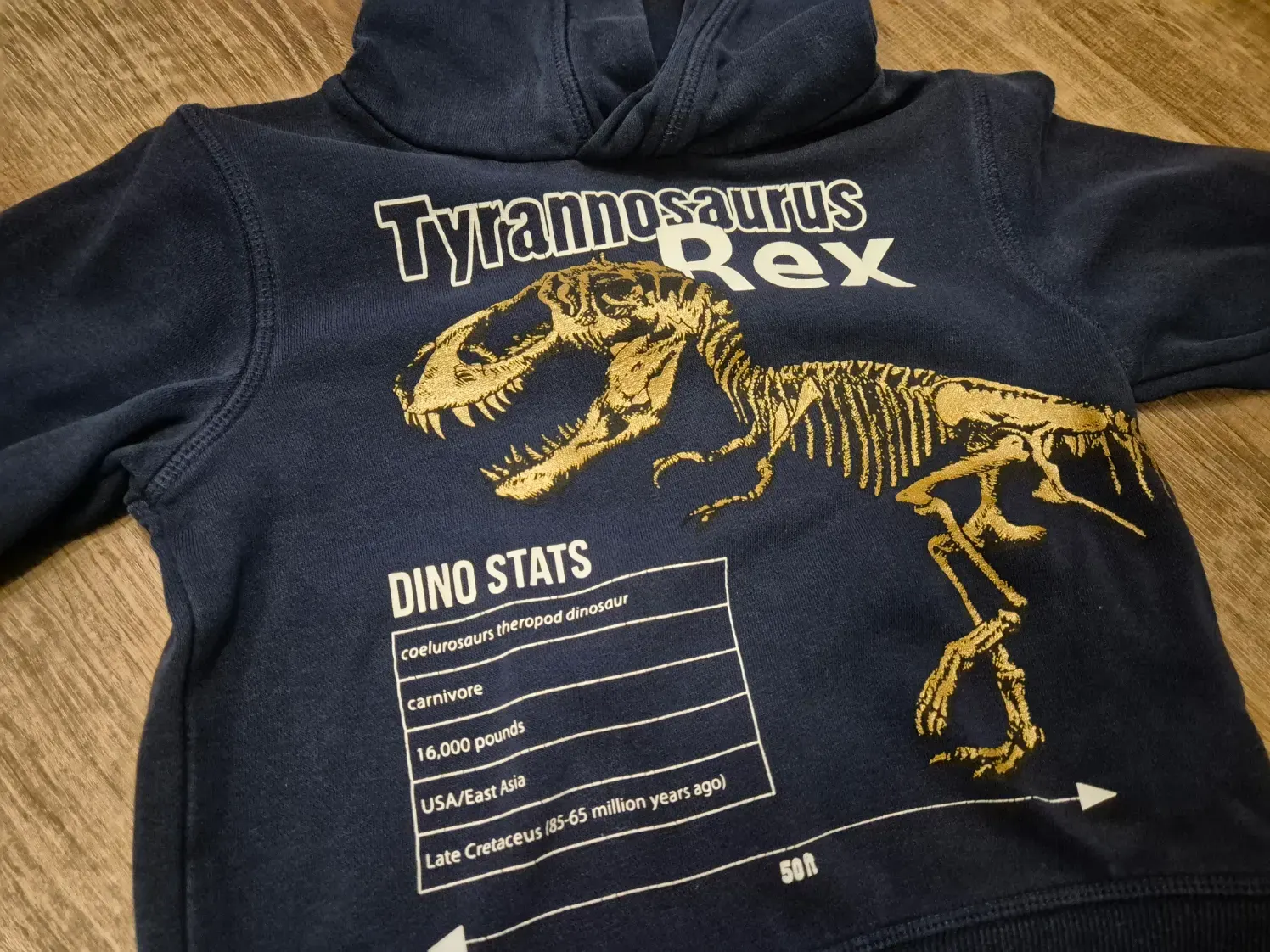 Pullover / Kapuzenpullover "T-Rex", Jungen, H&M, Größe 98/104