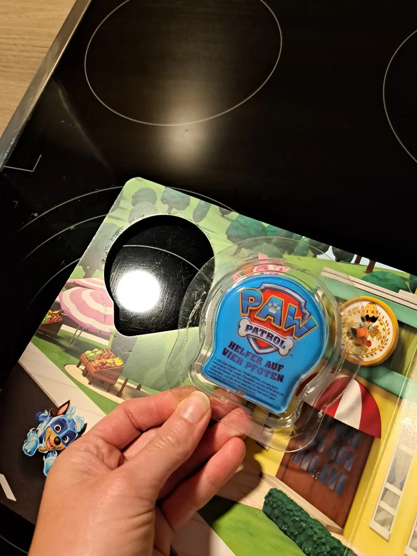 Auf großer Mission mit der Paw Patrol Buch