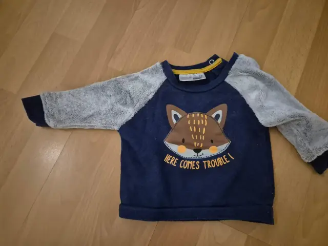 Pullover Fuchs