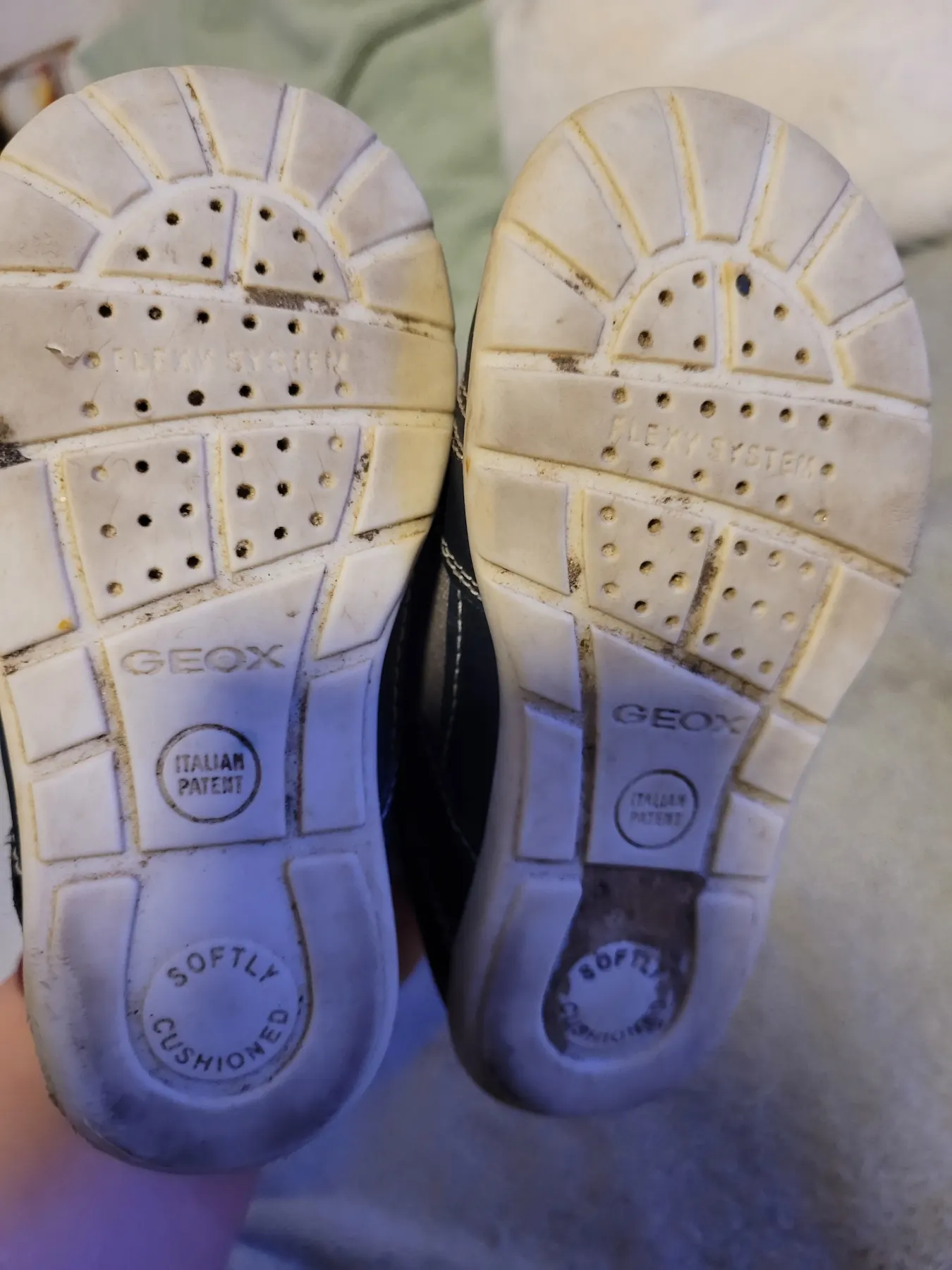 Geox Sneaker