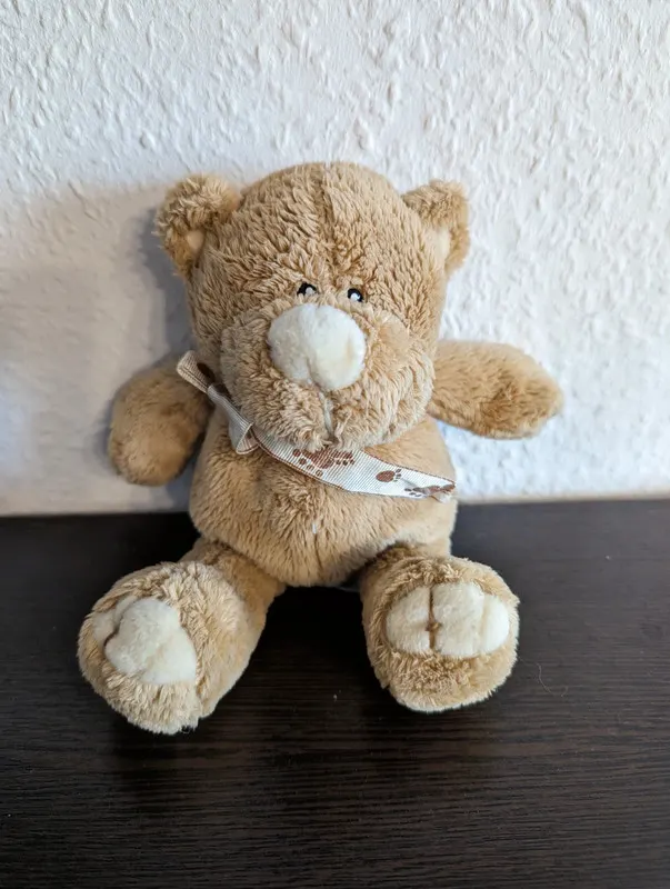 Kuscheltier Bär