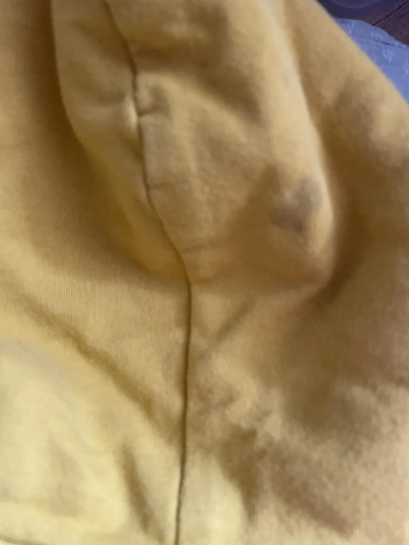 Mini Boden gelbe Löwe Sweatjacke warm