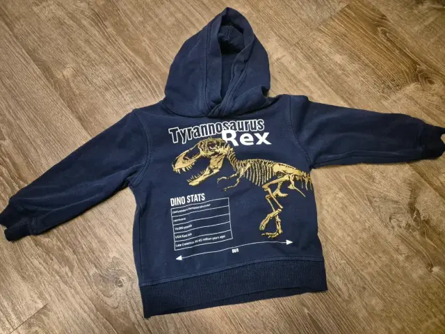 Pullover / Kapuzenpullover "T-Rex", Jungen, H&M, Größe 98/104