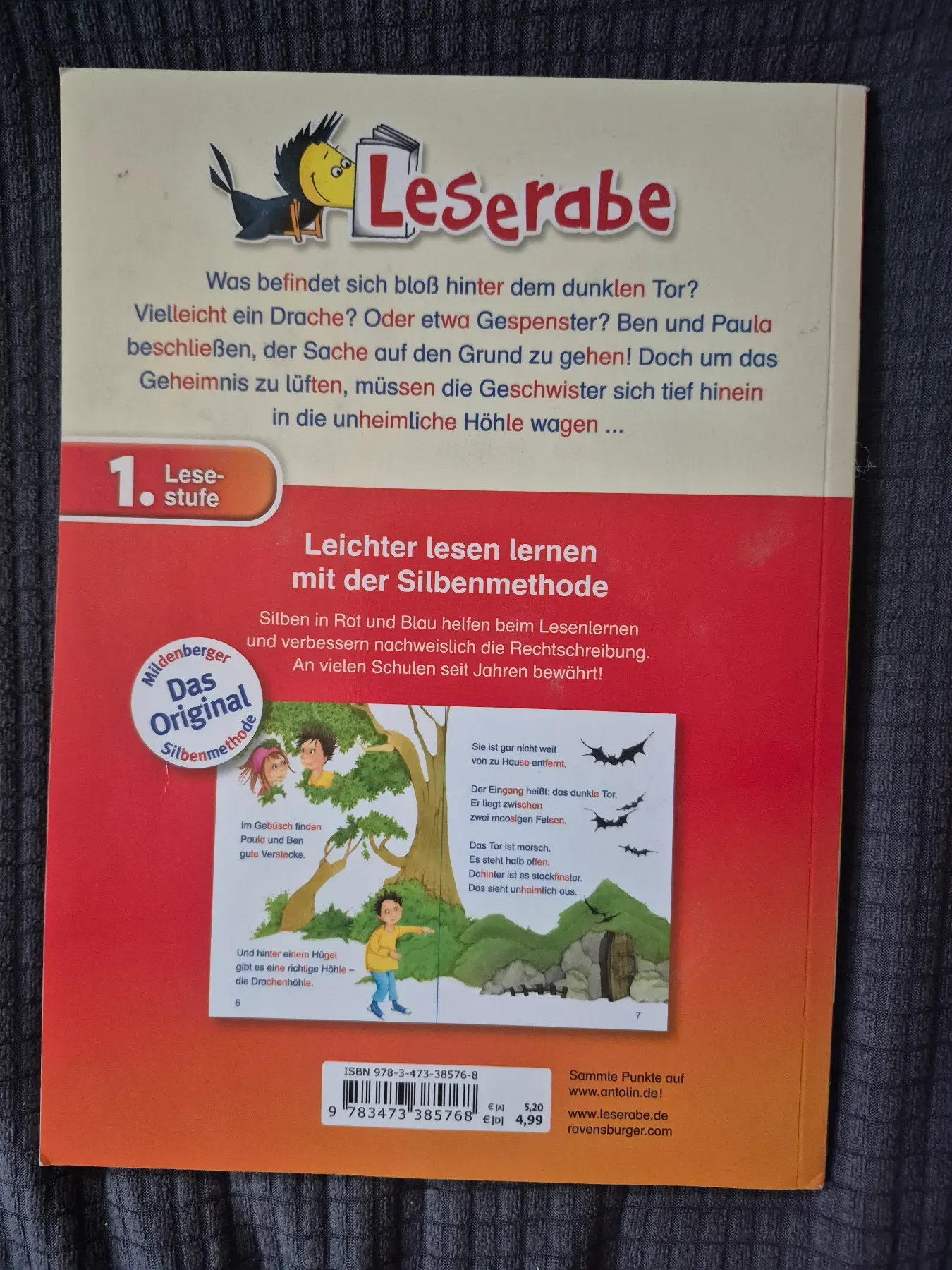 Erstlesebuch (Heft) Das Rätsel der Drachenhöhle