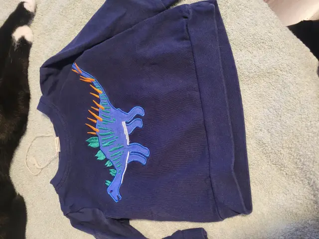 Alana Pullover Dino