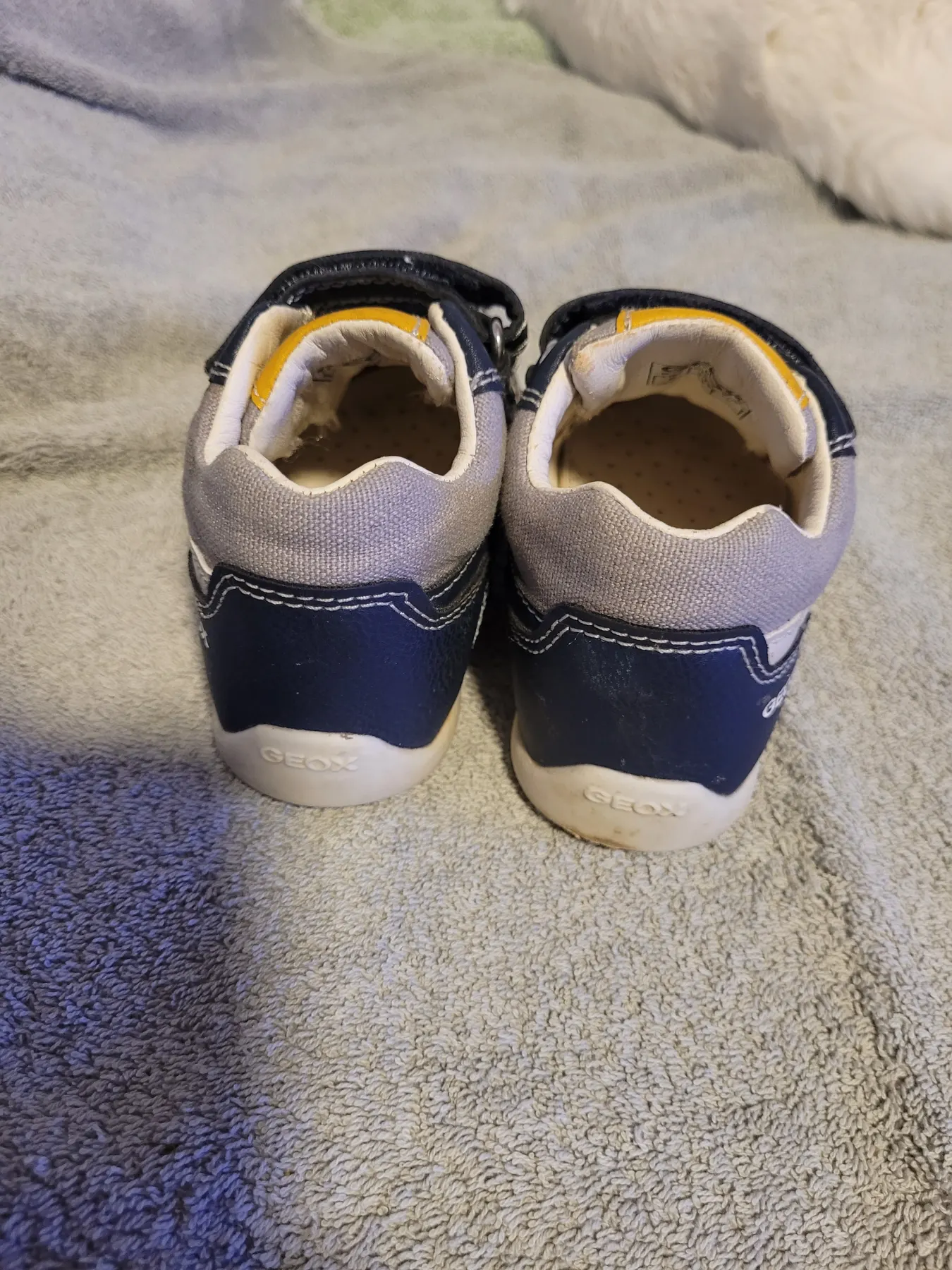 Geox Sneaker