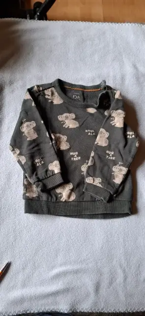 Koala Pulli