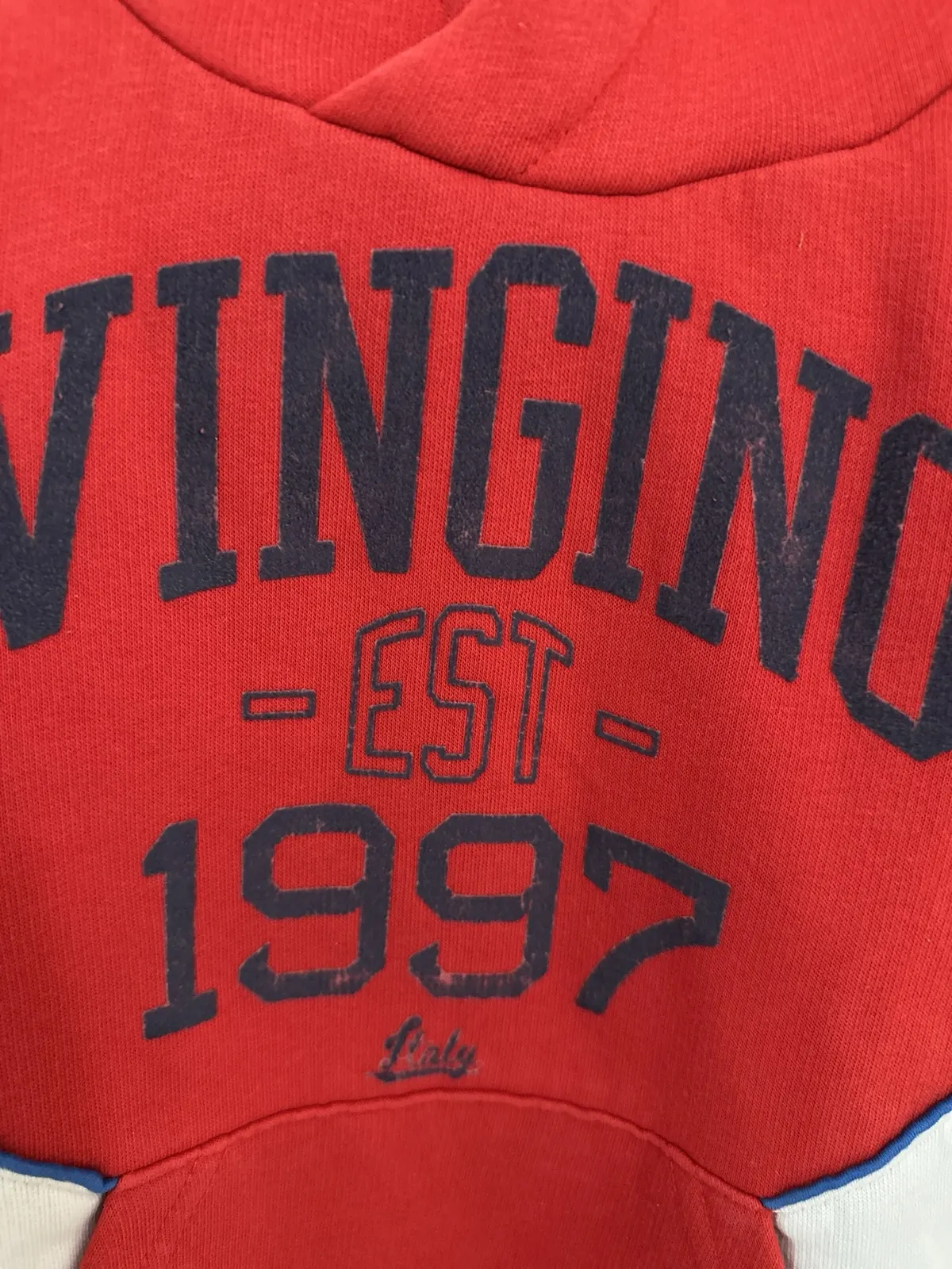 Hoodie Vingino 110