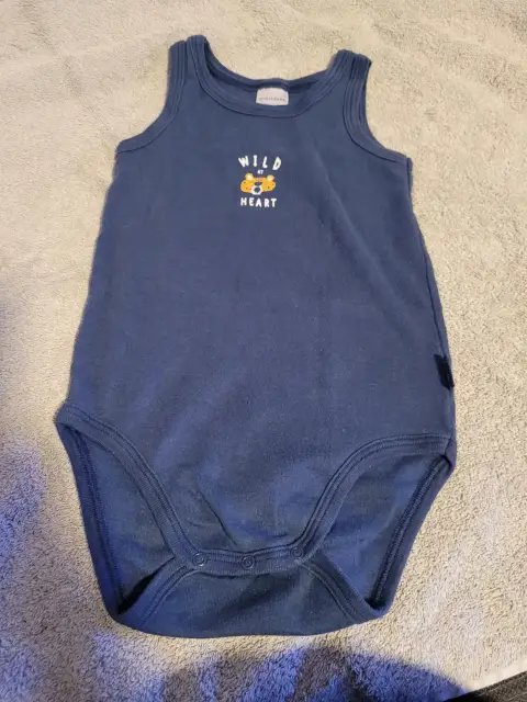 Schiesser body