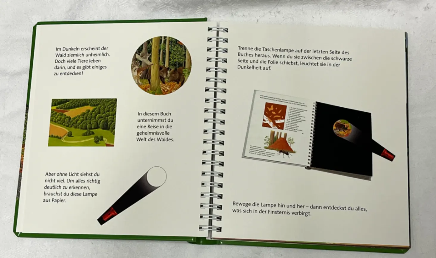 💡Licht an! 💡 Tief im Wald - Sauerländer Verlag